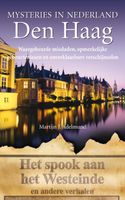 Den Haag - Den Haag - Martijn J. Adelmund - ebook