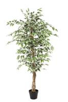 Kunstplant Ficus groen 160 cm