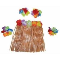 Hawaii verkleedsetje - 4-delig - voor kinderen - meisjes - tropisch - verkleedaccessoires Hawaii verkleedsetje - 4-delig - voor kinderen - meisjes - tropisch - verkleedaccessoires