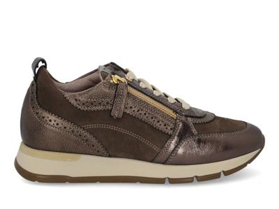 DL Sport 6719 vers 02 bronzo Brons maat 36