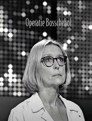 Operatie Bosschebol (Hardback)