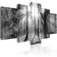 Schilderij - Herinneringen aan het Bos, 5luik, Zwart-Wit