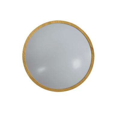 Ledlamp Silver Electronics 490510