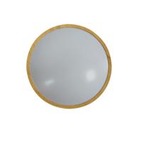 Ledlamp Silver Electronics 490510