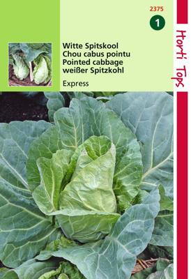 HT Wittekool Express, Vroege Spitse - Hortitops