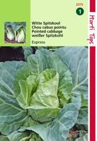 HT Wittekool Express, Vroege Spitse - Hortitops