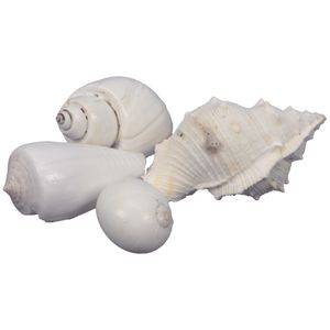 Decoratie/hobby schelpen mix - 500 gr - gebleekt wit