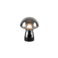 Trio TafellampDooley oplaadbaar met smoke glas - R54981154