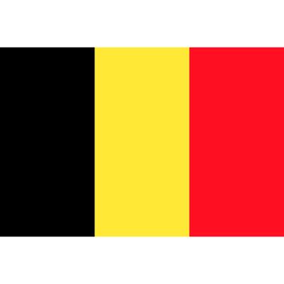 Vlag België - 90 x 150 cm - Belgische Vlaggen - België / Belgique