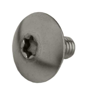 Batavus Anp kettd bout torx 5x9 rvs ds a 10