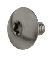 Batavus Anp kettd bout torx 5x9 rvs ds a 10