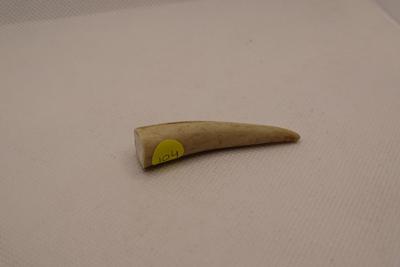 Bushpappa Geweipuntjes