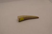 Bushpappa Geweipuntjes