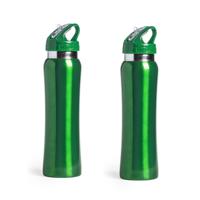 Drinkfles/waterfles Powerline - Set van 2x stuks - 800 ml - metallic groen - RVS metaal - Sportfles