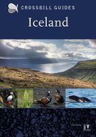 Crossbill Nature Guides Iceland - Iceland