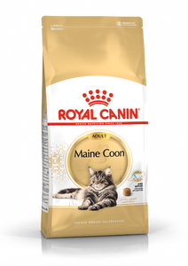 Royal Canin Maine Coon Adult kattenvoer 4kg