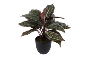 Kunstplant Calathea sunshine in pot
