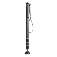 Gitzo GM2542 monopod (Carbon eXact Serie 2)