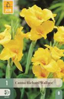 Canna Richard Wallace