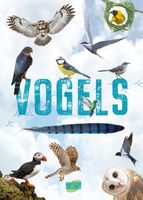Natuurgids Natuuronderzoekers Vogels | Rebo Productions - thumbnail