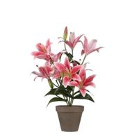 Mica Decorations Tijgerlelie Kunstplant - H47 cm - Fuchsia - thumbnail