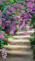 Tuinschilderij trap bloemen 130x70cm - Customize it