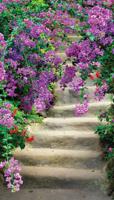 Bloemen trap 70x130cm Tuinschilderij - Customize it