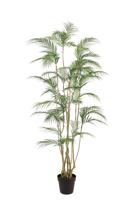 Tropische Areca-palm kunstplant 180 cm
