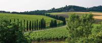 Italie natuur 130x50cm Tuinschilderij - Customize it