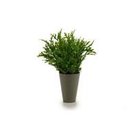 Bloempot Ibergarden Groen Plastic 13 x 25 x 13 cm