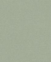Dutch Wallcoverings Linnen Touch Plain - Green