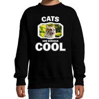 Dieren gekke poes sweater zwart kinderen - cats are cool trui jongens en meisjes