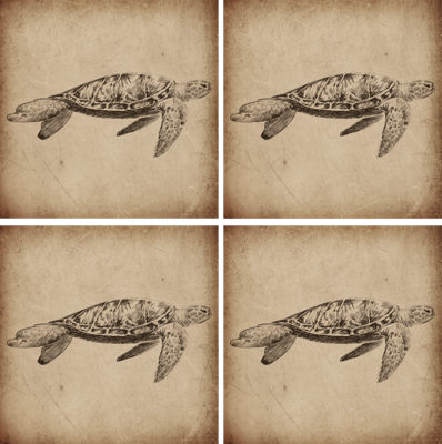 De vintage dierlijke onderzetter van de schildpadillustratie