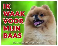 Pomeranian Waakbord - Ik waak voor mijn baas
