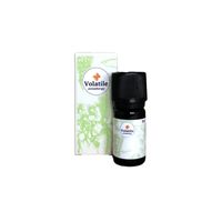 Volatile Kajeput bio (10 ml) - thumbnail