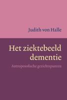 Het ziektebeeld dementie (Paperback)