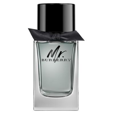 Burberry Mr. Burberry Eau de Toilette 100ml