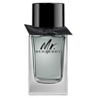 Burberry Mr. Burberry Eau de Toilette 100ml