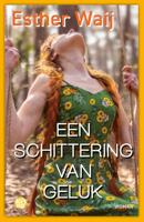 Een schittering van geluk (Paperback)