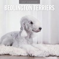 Bedlington Terrier Kalender 2027