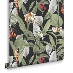 Graham & Brown - Vliesbehang - Botanical Black - 10mx52cm