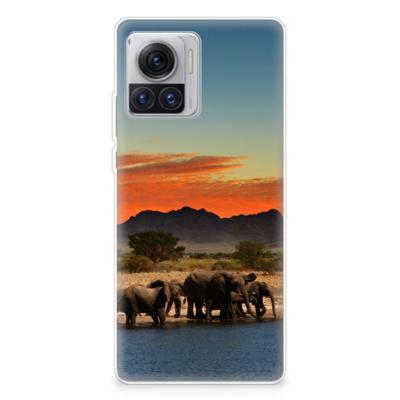 Motorola Moto X30 Pro | TPU Hoesje | Olifanten