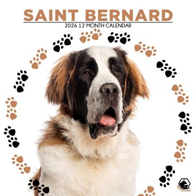 Sint Bernard Kalender 2026 Sint Bernard Kalender 2026