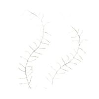 LED-lichtkrans Lumineo 6 W 5 m 12 m