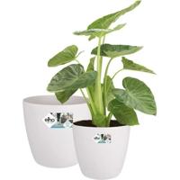 ELHO Set van 2 Brusselse ronde bloempotten op wielen - Ø35 x H33 cm en Ø39 x H36,5 cm - 55 L - Wit