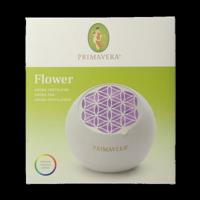 Primavera Aroma fan flower 1 Stuks