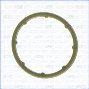 Pakking/ Afdichting 01102400