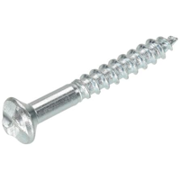 Homefix Anti-Inbraakschroef Vz 3.5X25 | 20 stuks - 6701.20.32010