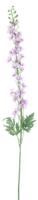 Delphinium akana purple 125cm