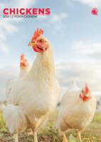 Kippen A3 Kalender 2026